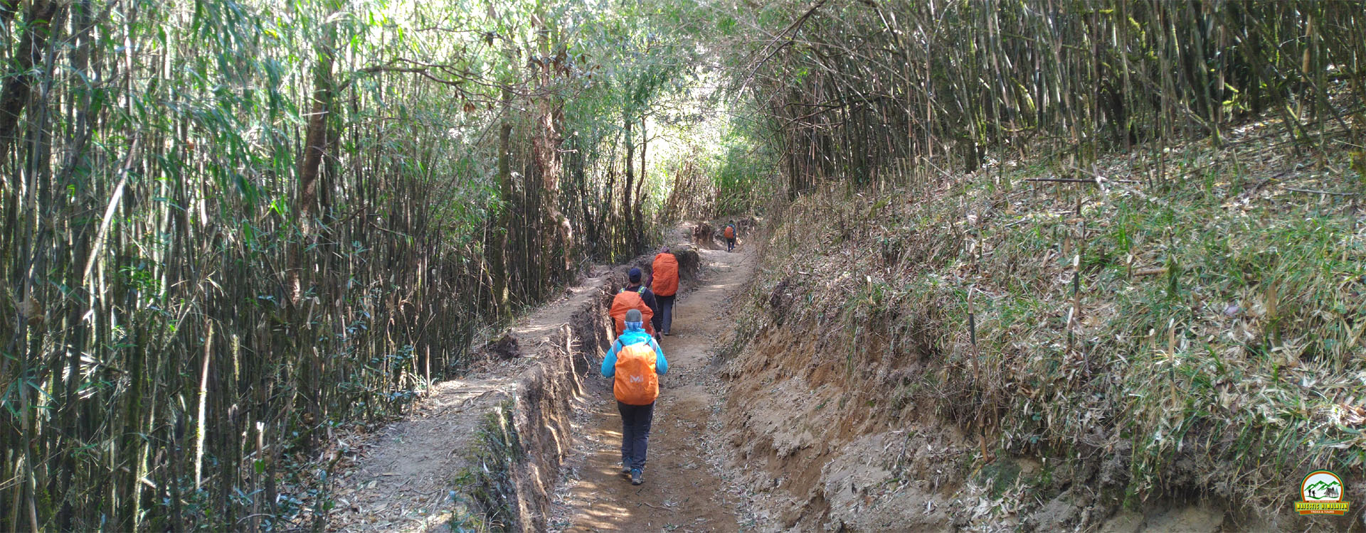 Gorkhey Phalut Trek